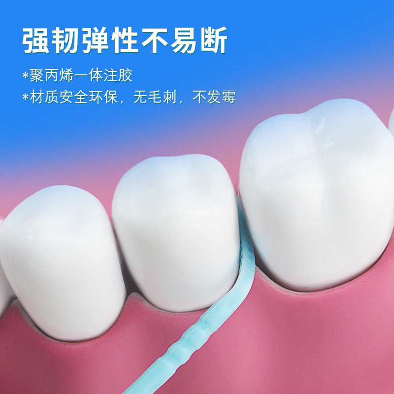 Tooth Point Canned Toothpick 300 Toothpick Brush Double-Headed Interdental Brush Disposable Plastic Toothpick Fish Bone Type Wholesale - image 3