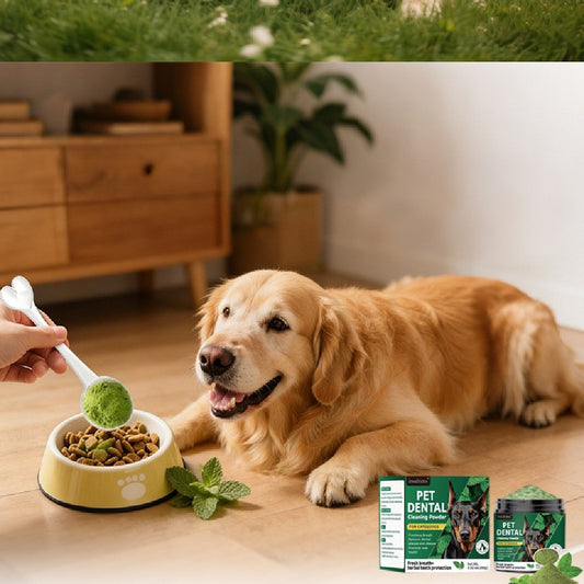 Dental Probiotic Cleaning Powder for Pets
