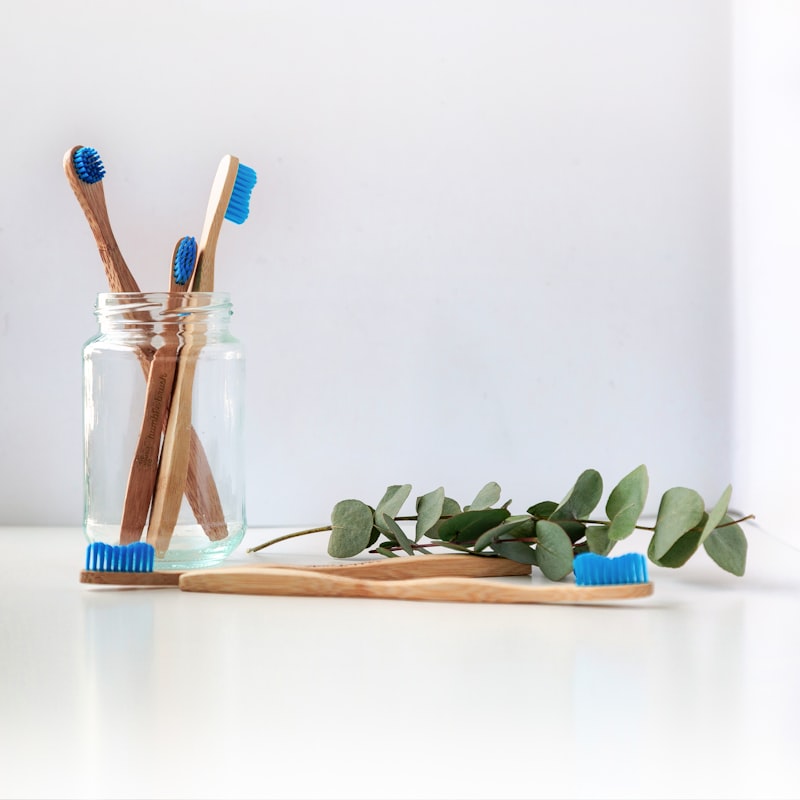 Oralcove Sonic Toothbrush Pro
