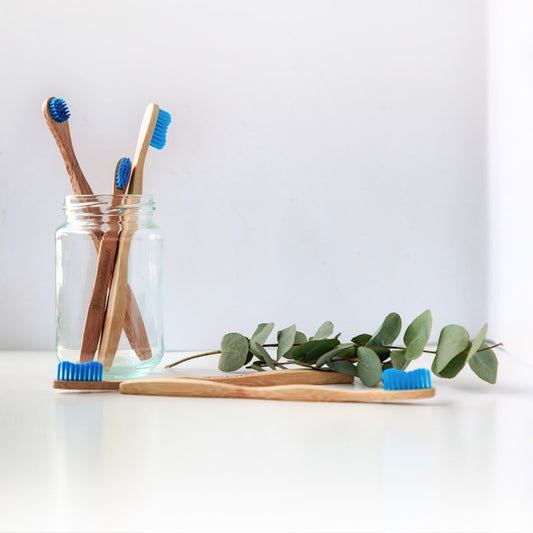 Oralcove Sonic Toothbrush Pro